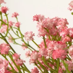 Brudeslør Blomster Lyserød