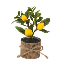 Citron Blomsterdekoration I Jutepotte